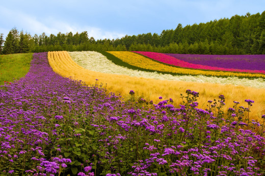 709640 (a): :2048x1366